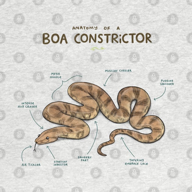 Anatomy of a Boa Constrictor by Sophie Corrigan